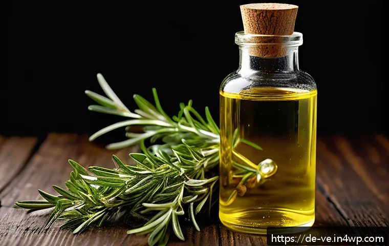 Kräuteröl selbst gemacht – Schritt-für-Schritt zur aromatischen Küchengeheimwaffe 3 허브로 만든 수제 오일 레시피 관련 이미지 1