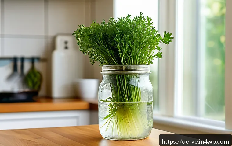 Frische Kräuter länger genießen So bewahren Sie aromatische Schätze richtig auf 3 허브의 효과적인 보관 방법 관련 이미지 1